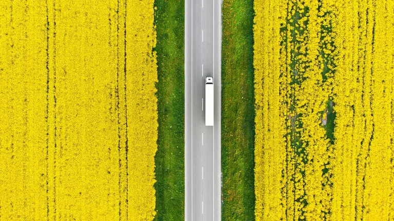 камион на път сред рапица
