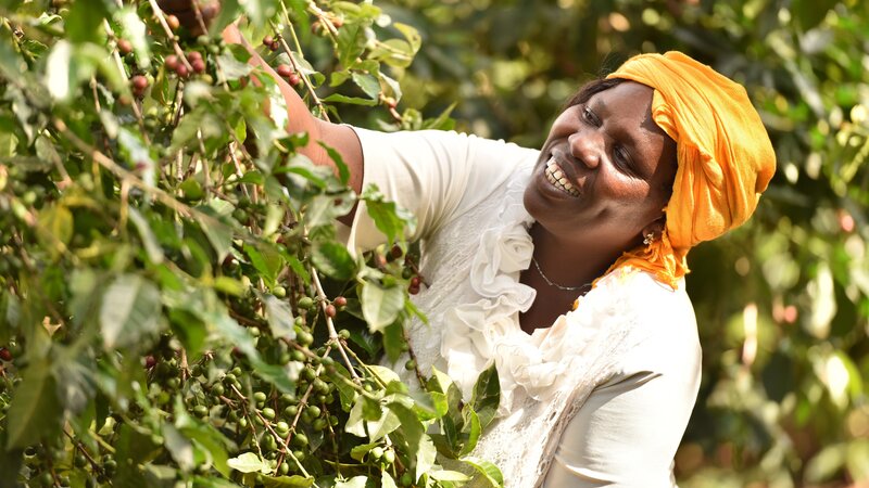 FAIRTRADE Kaffeepflückerin